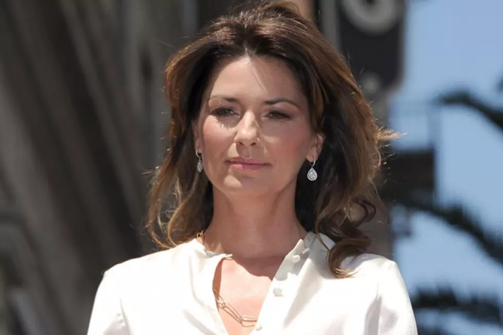 Shania Twain Stalker Appeals Guilty Plea