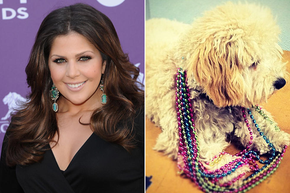 Cutest Pets in Country Music &#8211; Hillary Scott