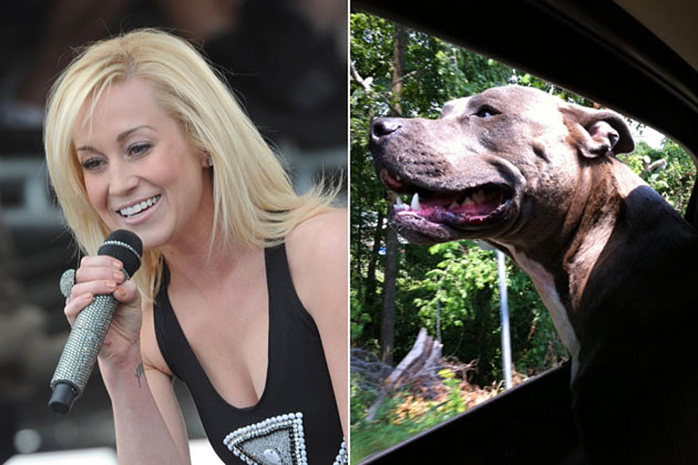 Cutest Pets in Country Music &#8211; Kellie Pickler
