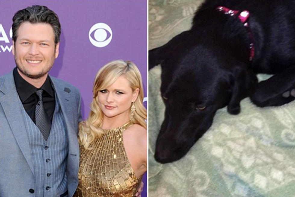 Miranda Lambert and Blake Shelton’s Dog, Loretta, Goes Missing