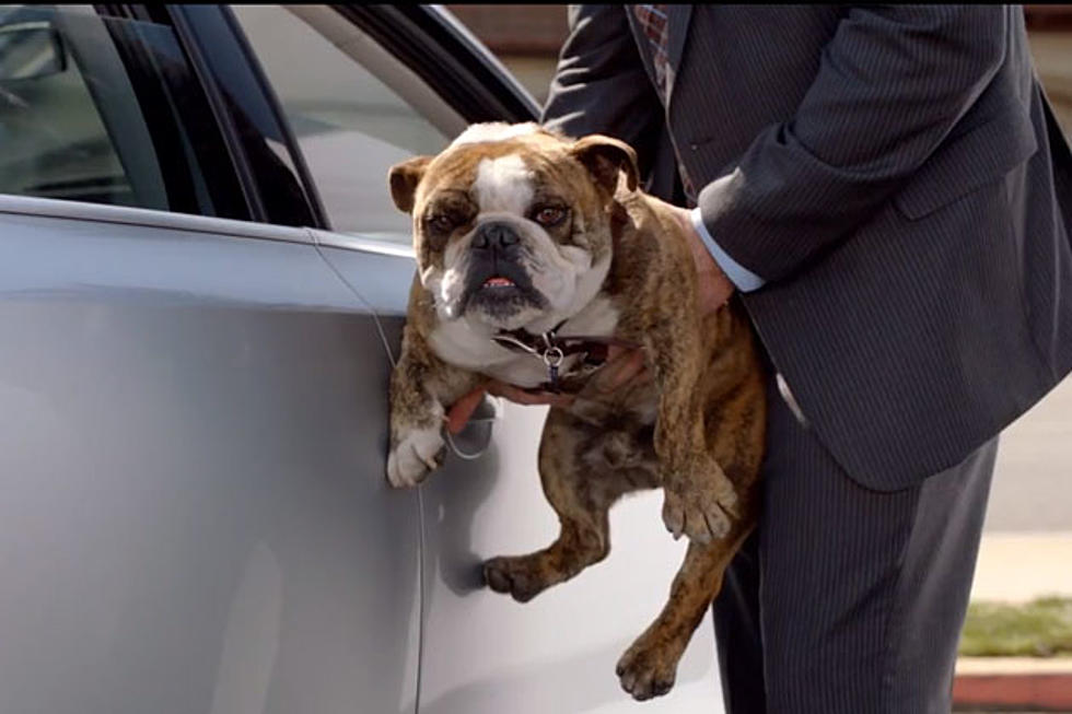 2013 Volkswagen Jetta Bulldog Commercial – What’s the Song?