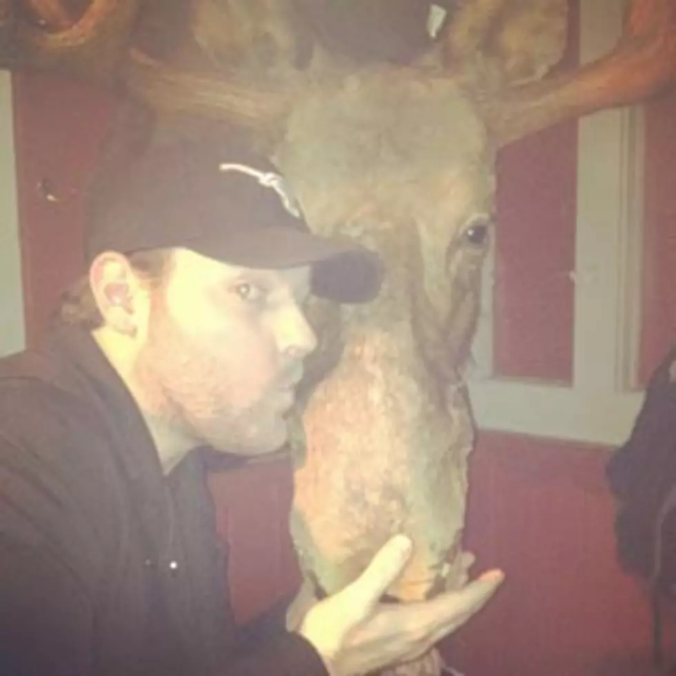 Chris Young Kisses a Moose!