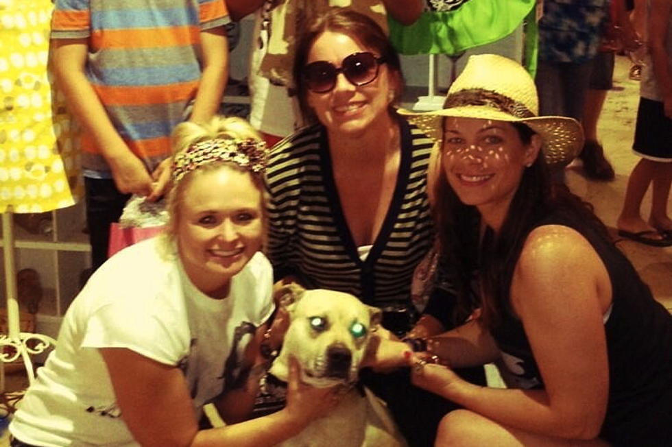 Miranda Lambert Finds a Home for Another Stray Dog Over Memorial Day Weekend