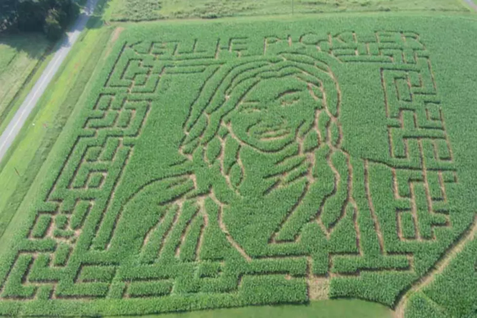Kellie Pickler Corn Maze Opens Near Her Hometown