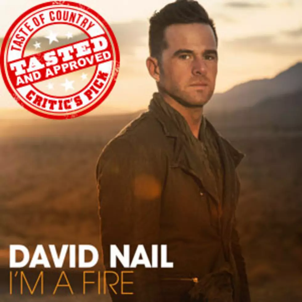 Album Spotlight: David Nail, ‘I’m a Fire’ &#8211; ToC Critic&#8217;s Pick