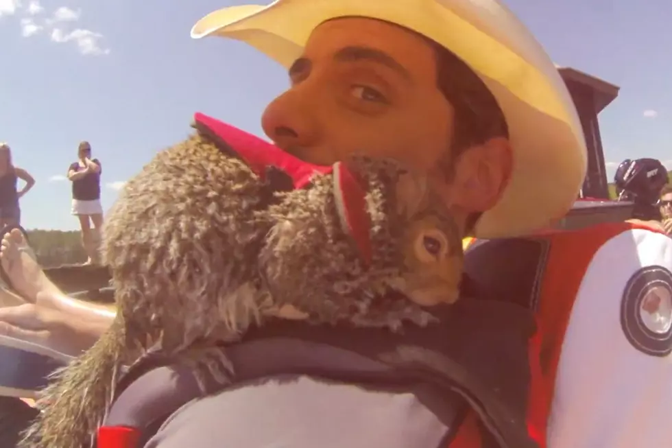 Brad Paisley Squirrels Around With Twiggy in ‘River Bank’ Music Video