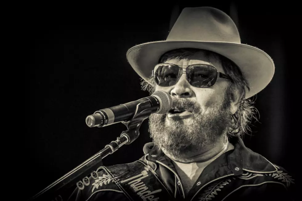 Hank Williams Jr. Brings Hits, Rock Covers to 2014 Taste of Country Music Festival [Pictures]