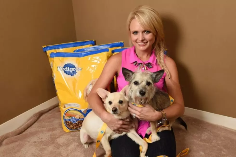 Miranda Lambert Helping Furry Friends With Appearance at New Vegas Festival