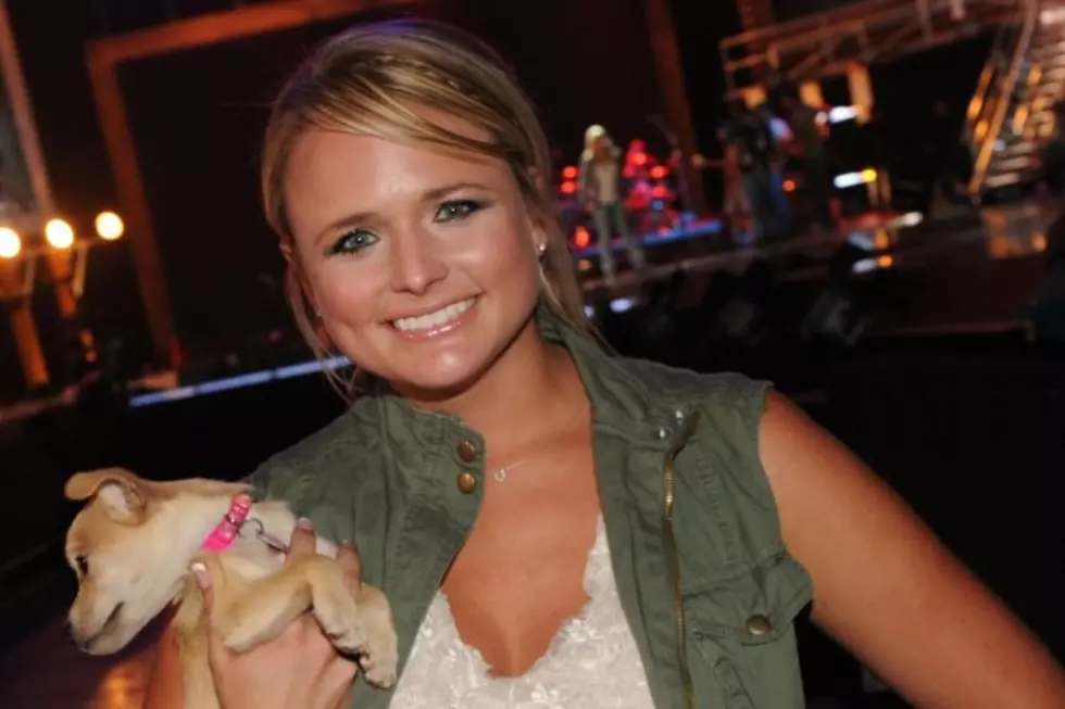 Miranda Lambert Raises Over $600,000 With Cause for the Paws Event
