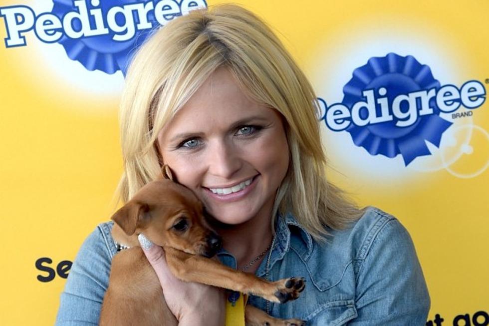 Apparently, Miranda Lambert&#8217;s Dogs Have Their Own House!