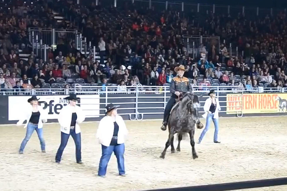 You’ve Got to See This Horse Dancing to Billy Ray Cyrus’ ‘Achy Breaky Heart’