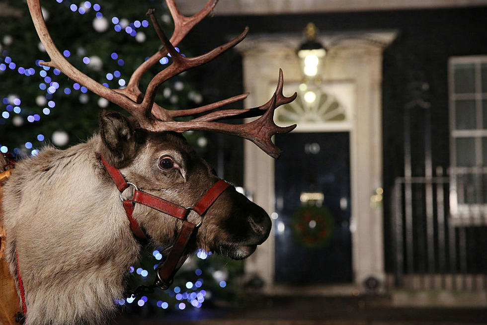 How Well Do You Know the Lyrics to &#8216;Grandma Got Run Over by a Reindeer&#8217;?
