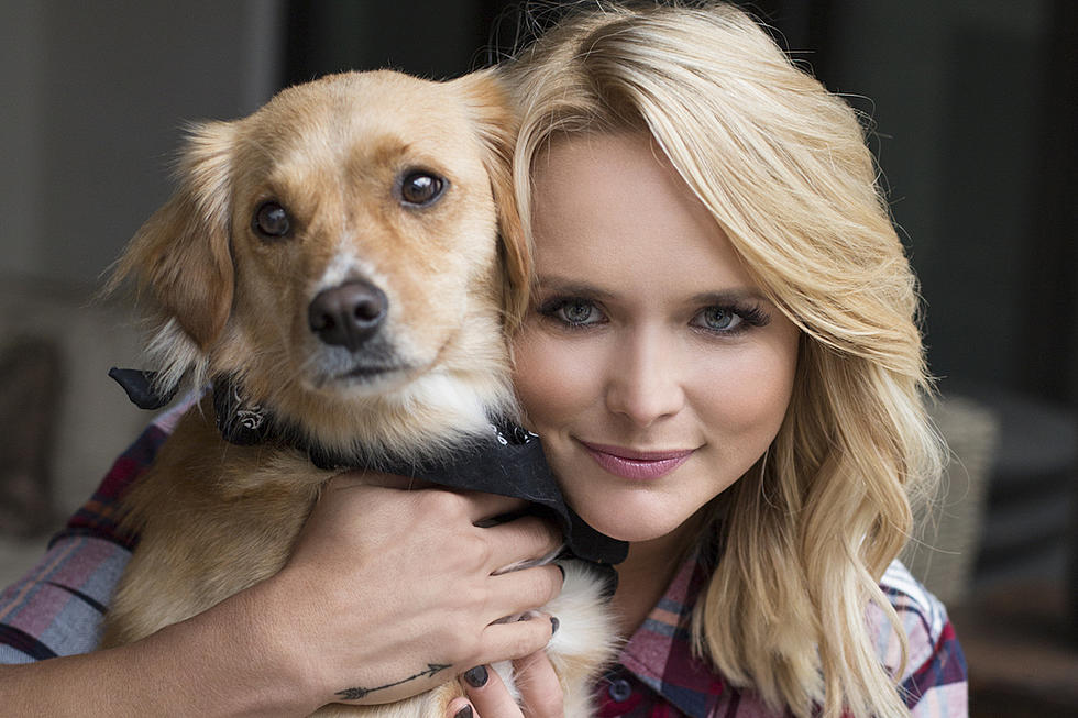 Miranda Lambert Finds Loving Homes for Dogs During CMA Fest