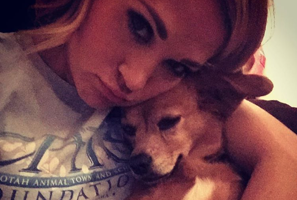 Carrie Underwood Scolds Her Dog for Stealing Food, But She’s Not Sorry [Watch]