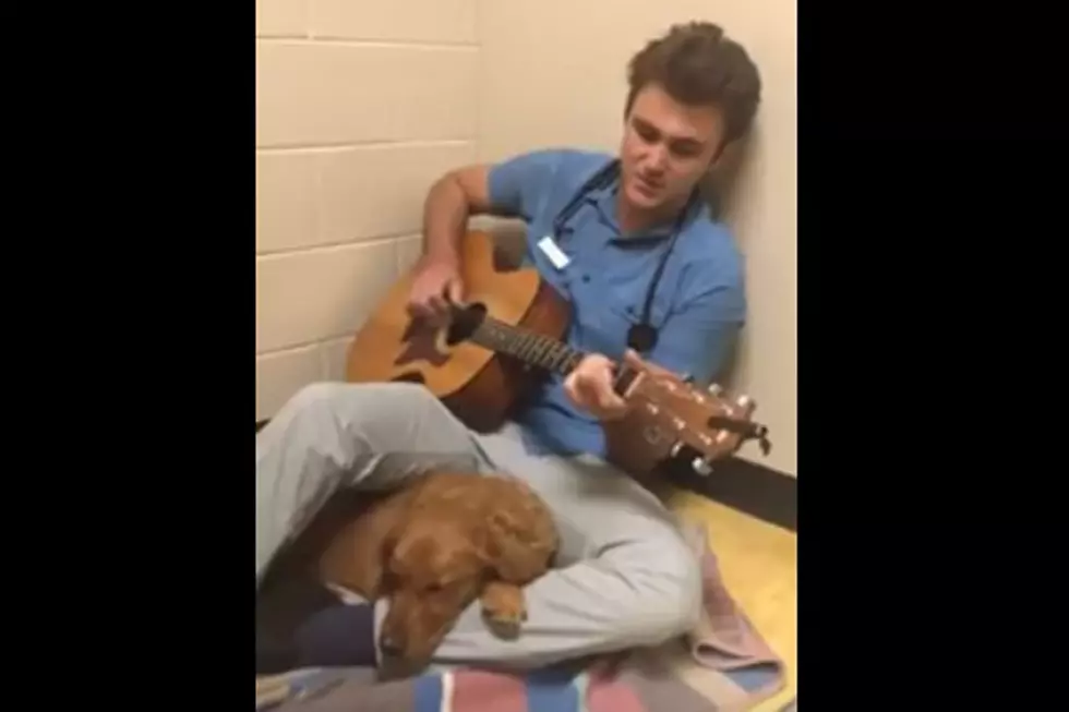 Caring Vet Serenades Dog With Elvis Presley’s ‘Can’t Help Falling in Love’ [Watch]