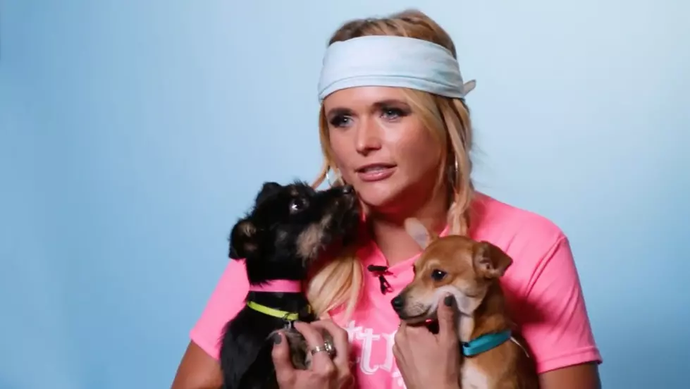 Miranda Lambert Plays With Puppies in Best Interview Ever [Watch]