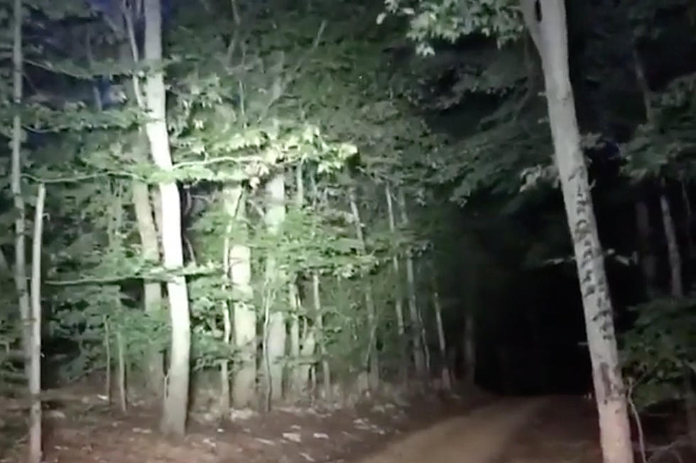 Kelly Clarkson Shares Crazy Video of Bat Dive-Bombing Her in the Woods [Watch]