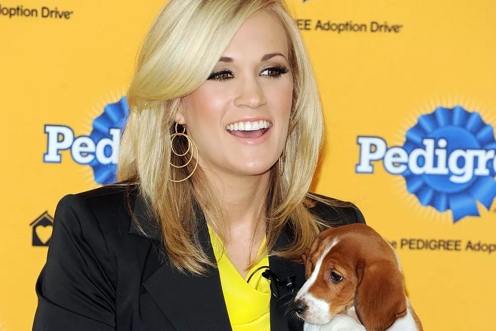 Carrie Underwood Posts Adorable Photo of Rescue Dogs for National Dog Day
