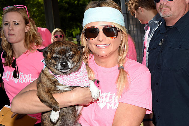 Miranda Lambert&#8217;s MuttNation Is Helping Pups in Her Hometown