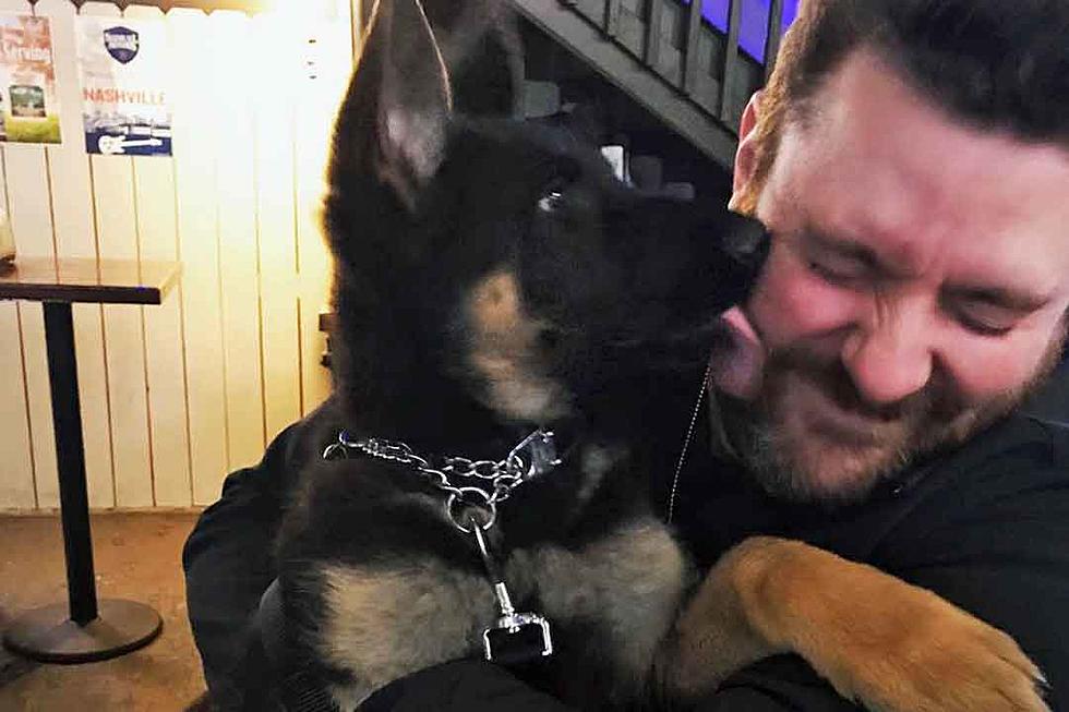 Chris Young Gushes About New Puppy: 'He's Very Attached'