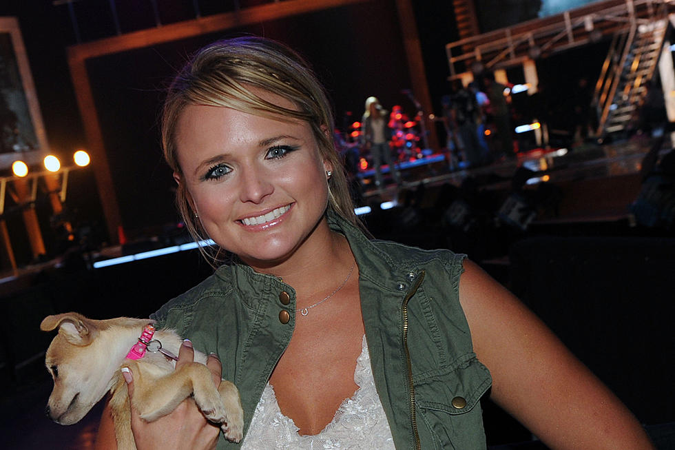 56 Dogs Find Homes at CMA Fest, Thanks to Miranda Lambert and MuttNation