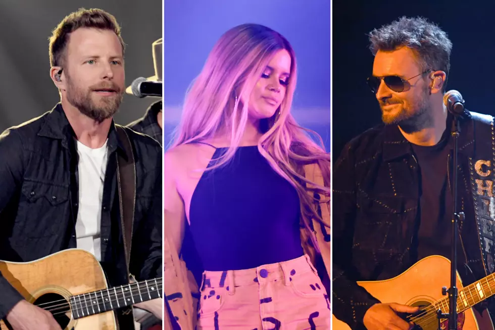 19 Country Artists Who Are in Favor of Gun Law Reform