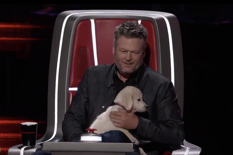 Watch Blake Shelton Try to Use a Puppy to Convince a &#8216;The Voice&#8217; Contestant to Pick Him