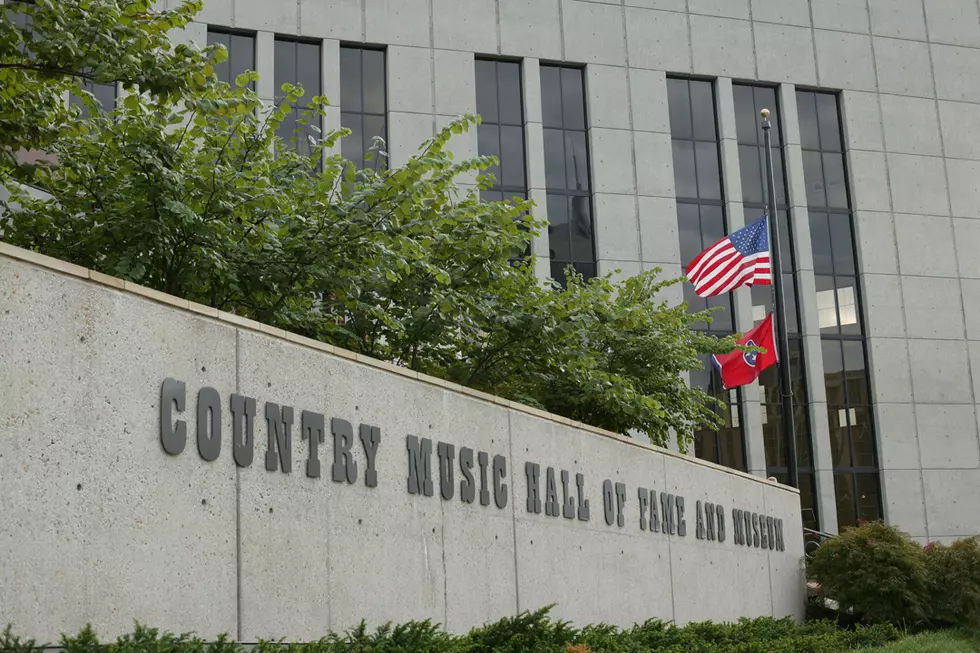 NRA Cancels Country Music Hall of Fame Auction Over Gun Policy