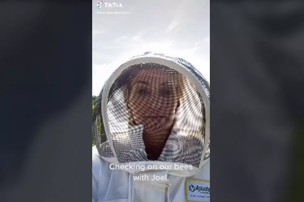 Carrie Underwood, Mike Fisher Find ‘Pretty Cool’ New Hobby as Beekeepers [Watch]