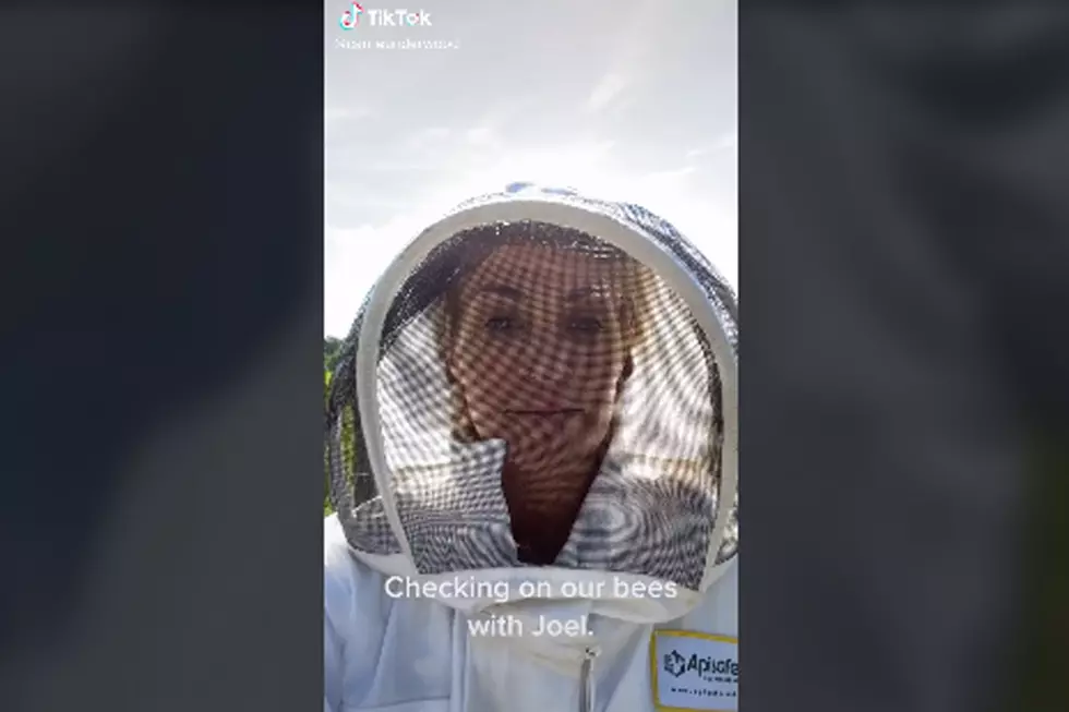 Carrie Underwood, Mike Fisher Find New Hobby in Beekeeping