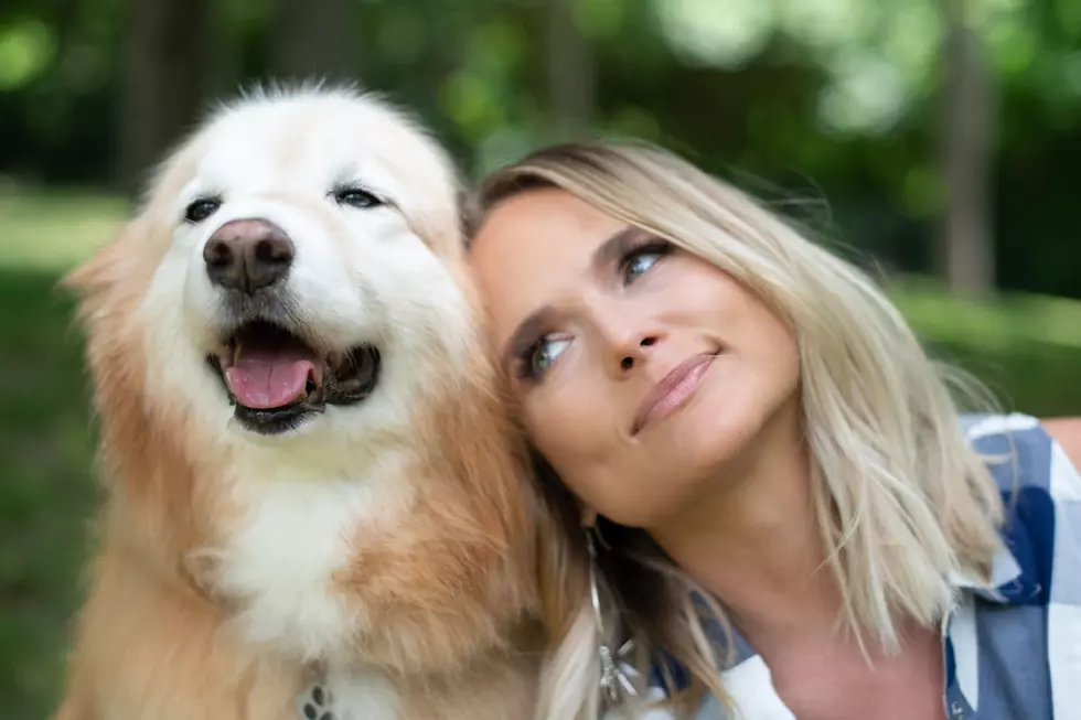 Miranda Lambert Launches Coronavirus Fund to Help Musicians' Pets