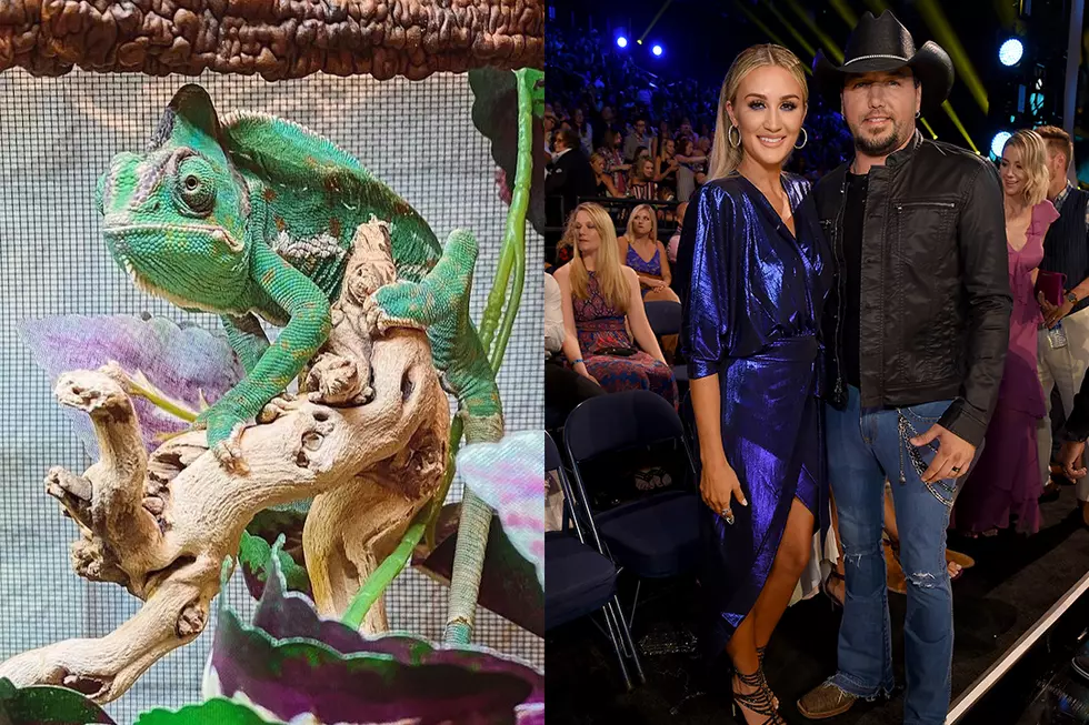 Brittany and Jason Aldean&#8217;s Pet Chameleon, Elvis, Dies Unexpectedly