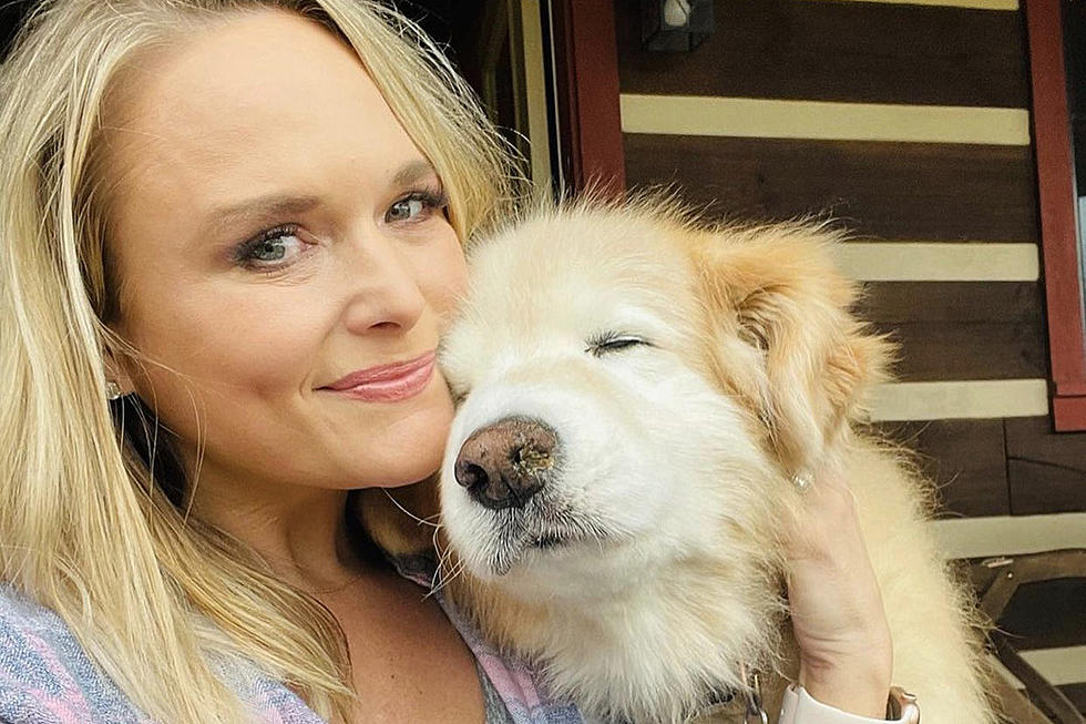Miranda Lambert Announces the Death of Her Dog, Jessi