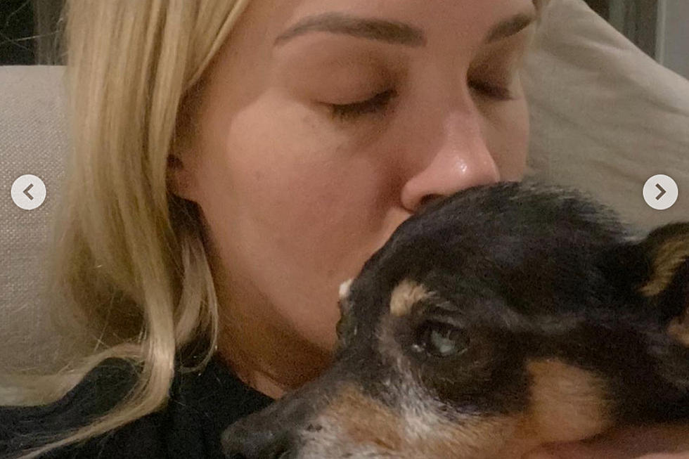 Carrie Underwood Mourning the Death of Her Dog, Ace: &#8216;A Good Boy Till the Very End&#8217;
