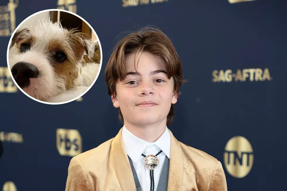 &#8216;Yellowstone&#8217; Star Gives Hopeful Update After &#8216;Horrific&#8217; Dog Attack [Picture]