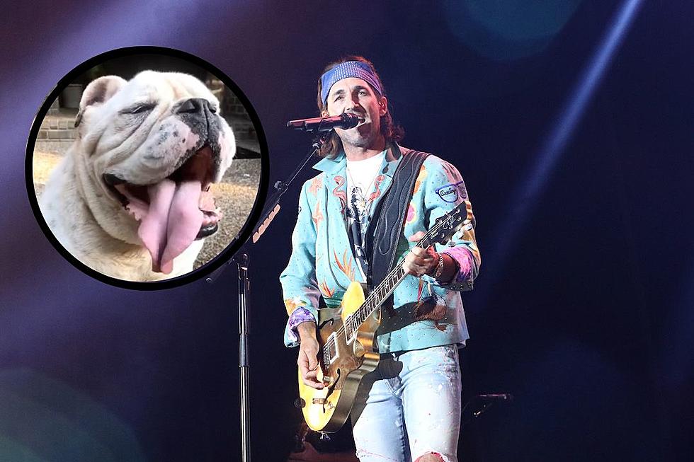 Jake Owen Mourns the Death of His Dog, Merle: 'You Were My Dawg'