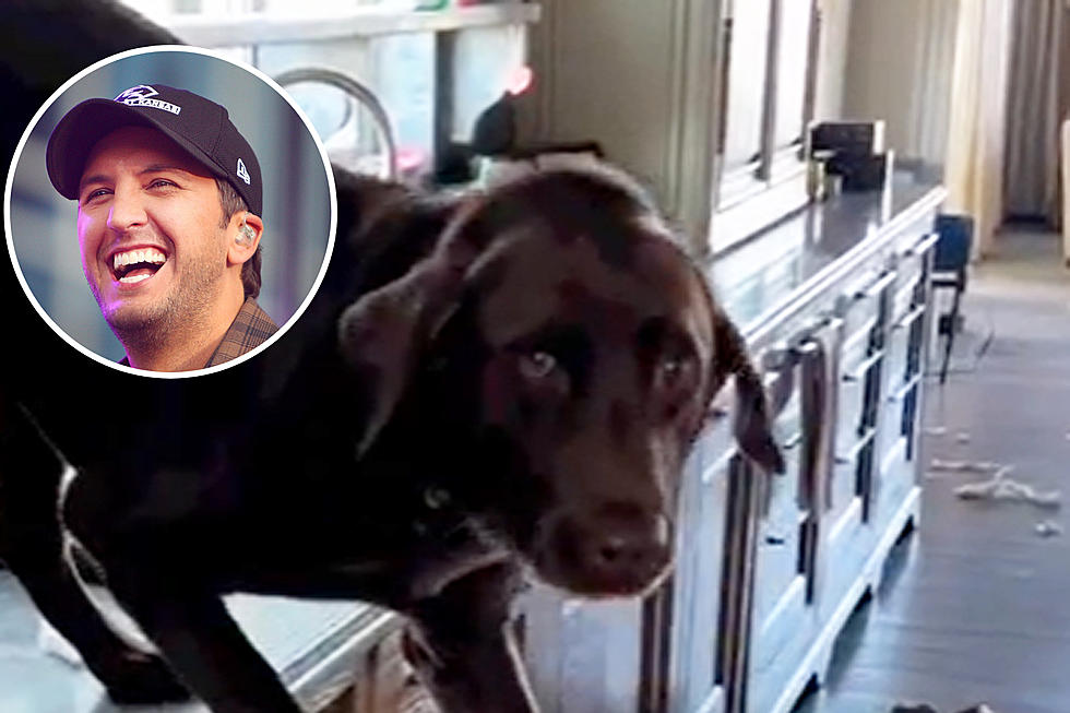 Luke Bryan&#8217;s Dog Got Into the Trash + His &#8216;I&#8217;m Sorry&#8217; Face Is So Funny [Watch]