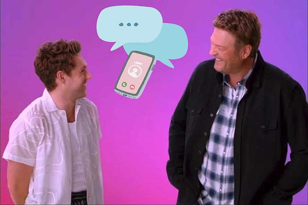 Blake Shelton and Niall Horan Have Become Friends Who Text Every Day