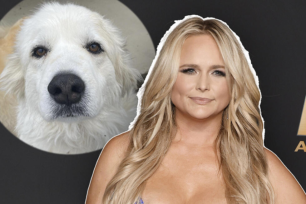 Miranda Lambert Reveals Her Dog Thelma Has Died