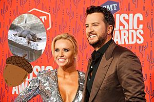 Luke Bryan’s Wife Can’t Stop Laughing Over Squirrel Incident...