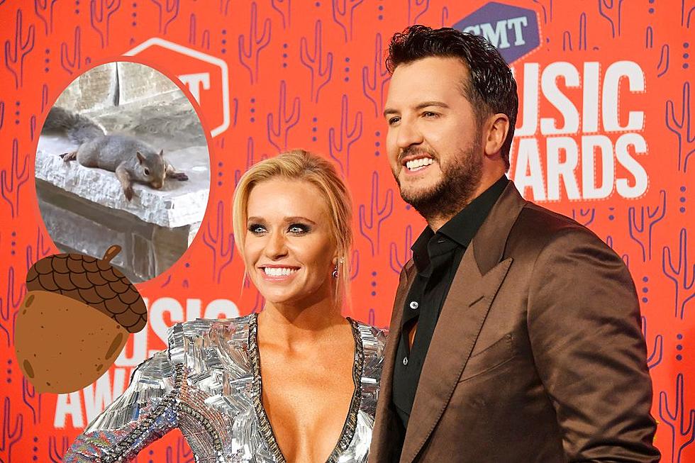 Luke Bryan’s Wife Can’t Stop Laughing Over Squirrel Incident [Watch]