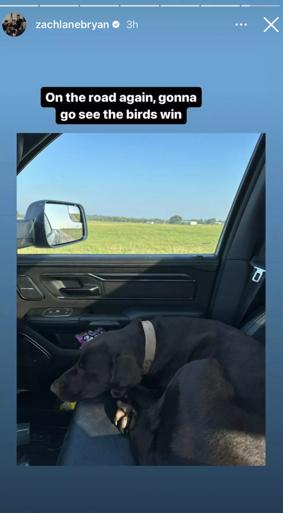 Instagram Stories