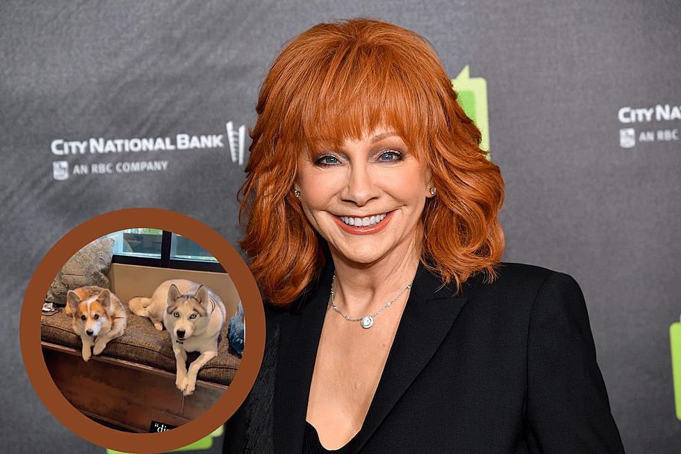 Reba McEntire Sure Knows How to Spoil Her Granddogs