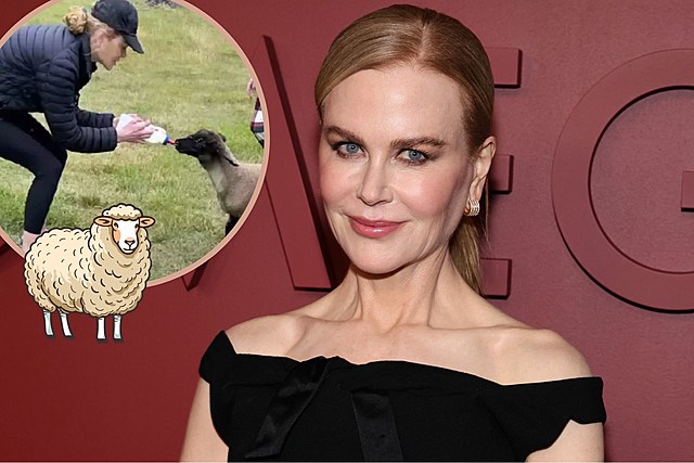 Nicole Kidman Feeds an Adorable Lamb During Her 'Holiday Chores'