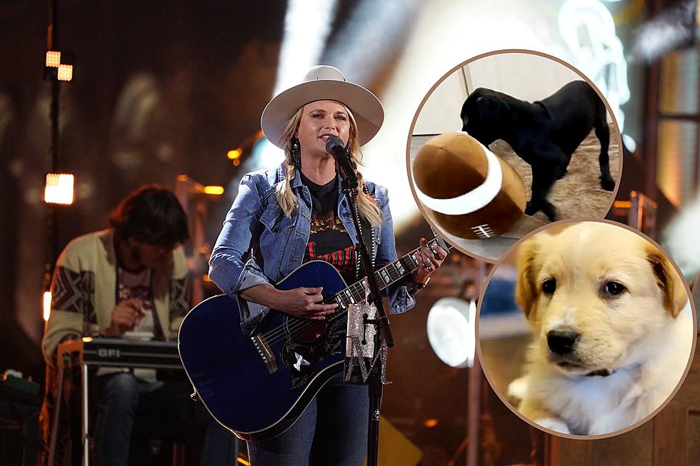 Miranda Lambert Will Spotlight Adoptable Pets at the Puppy Bowl