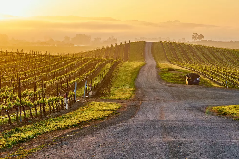 Win a Trip to Napa Valley, California for ‘Live in the Vineyard Goes Country’