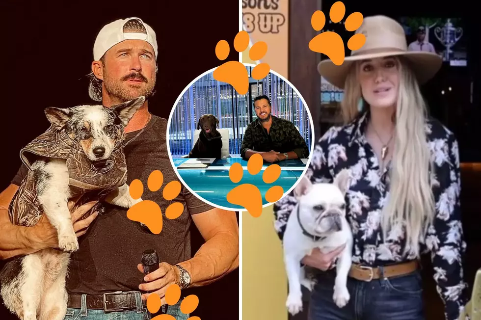 National Bring Your Dog to Work Day: Country Edition