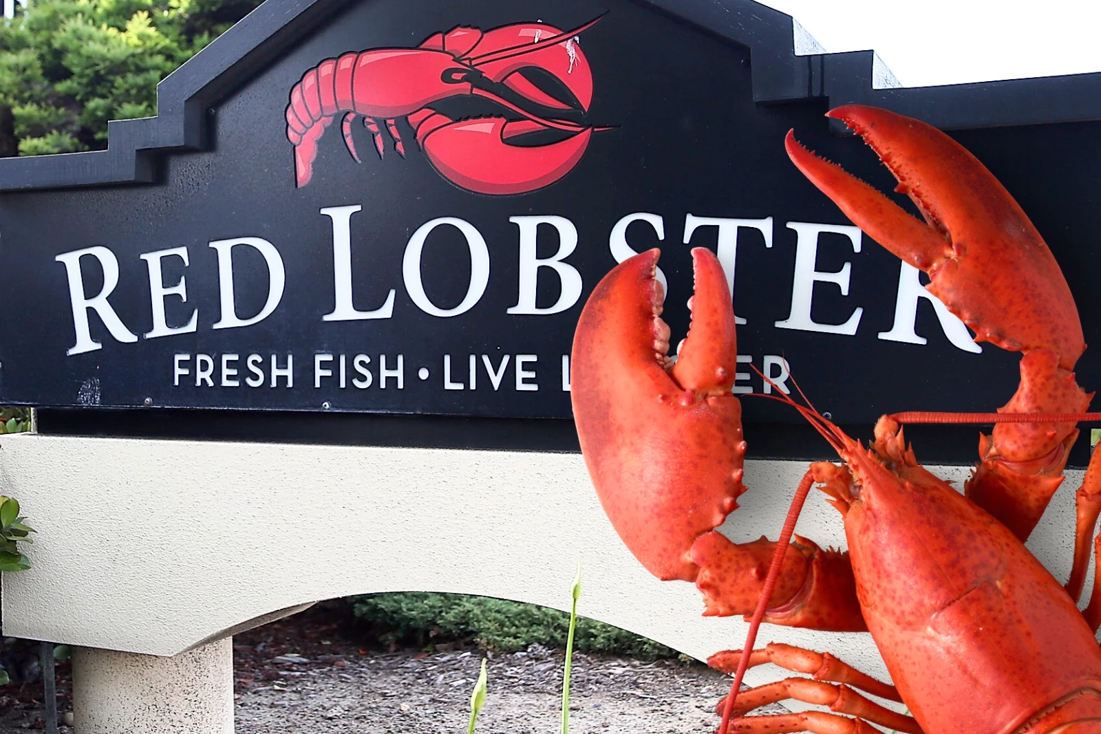 Huge News About the Future of Red Lobster Locations