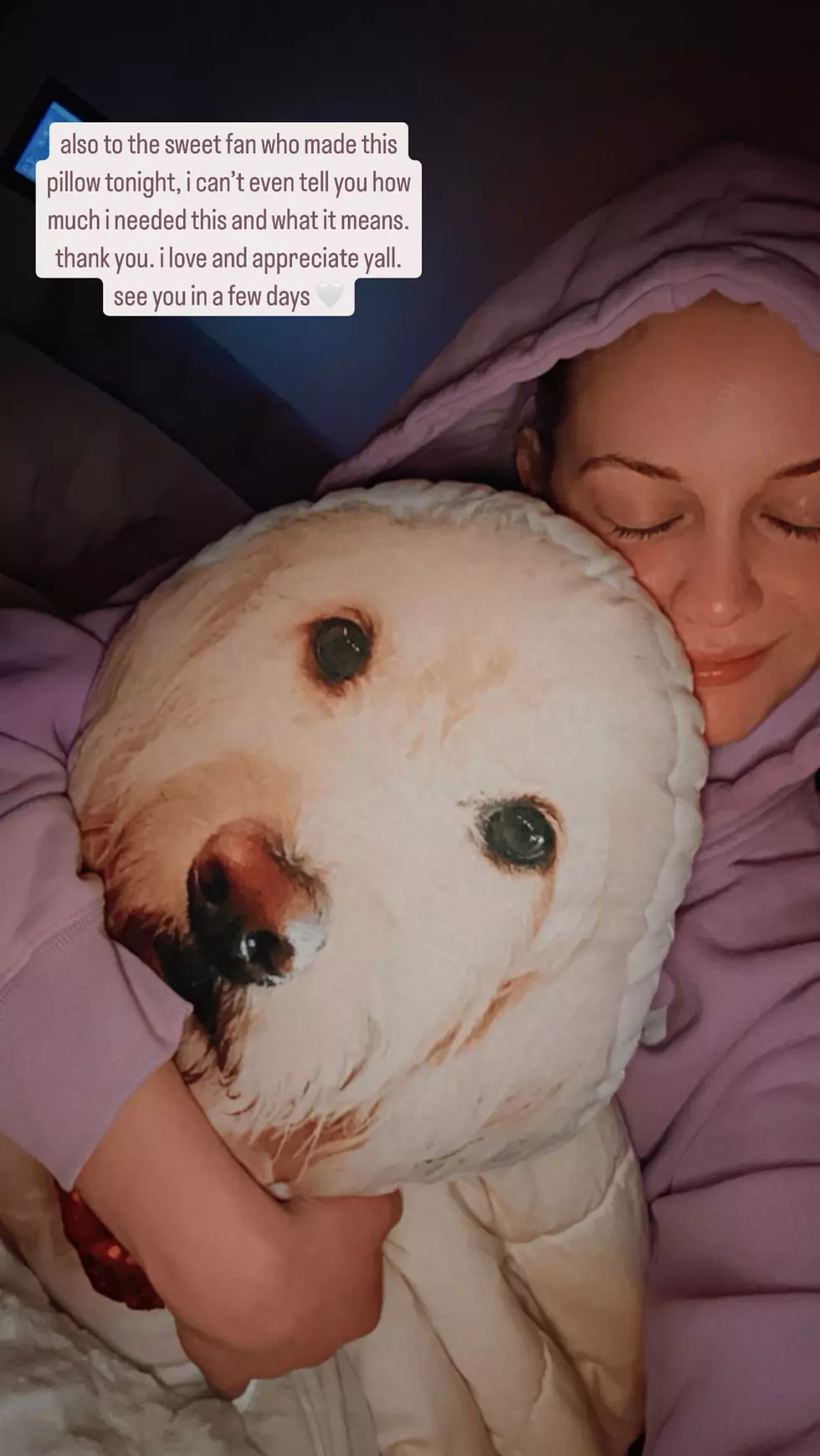 Kelsea Ballerini's Dog Pillow