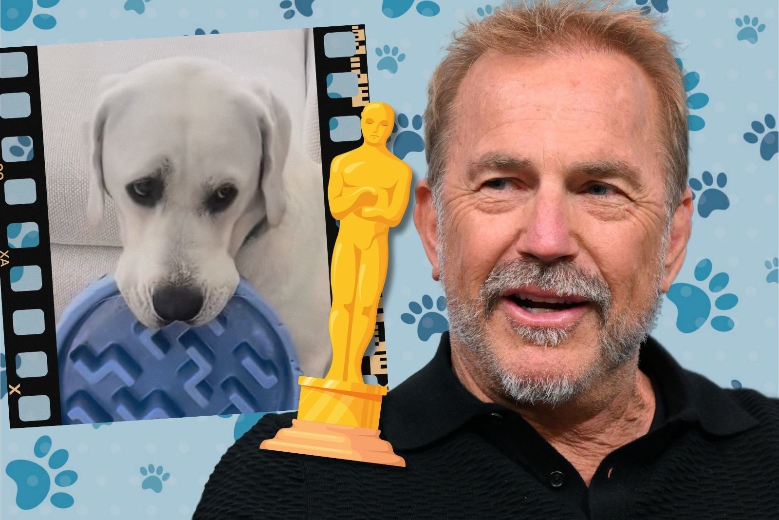 Kevin Costner's Dog Gives Oscar-Worthy Performance in Begging